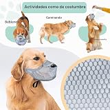 Ver la foto 5