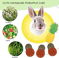 Vista 38 de VESPRO Juguetes de conejo para conejos, juguetes masticables de conejo para dientes, conejito para conejillos de indias, juguetes para masticar