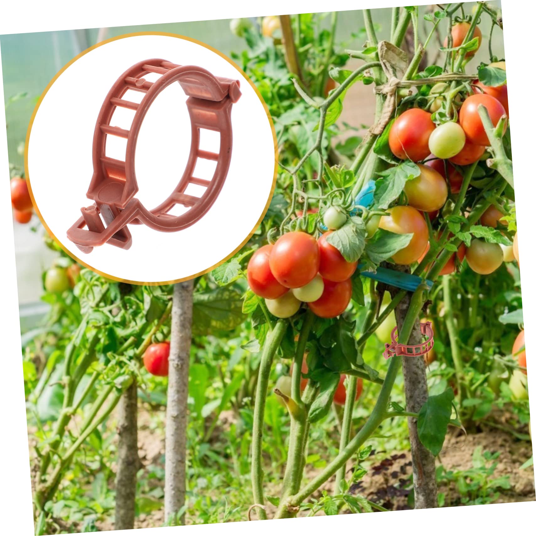 300stücke Teiliges Set Pflanzenclips Für Tomaten Und Andere Gartenpflanzen Umweltfreundlichem Kunststoff Unterstützung Von Stängeln Und Für Gewächshäuser Und Garten
