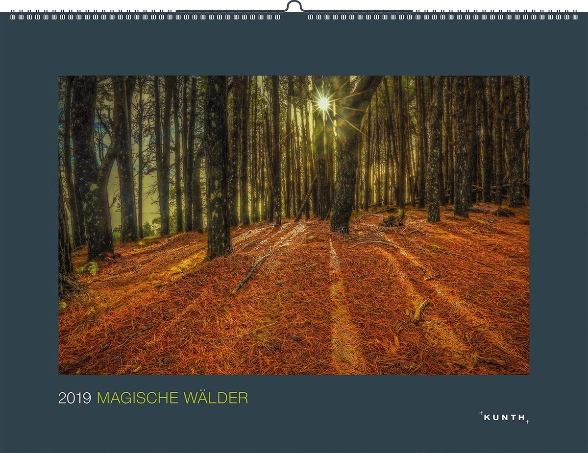 Magic Forests 2022: Wall Calendar