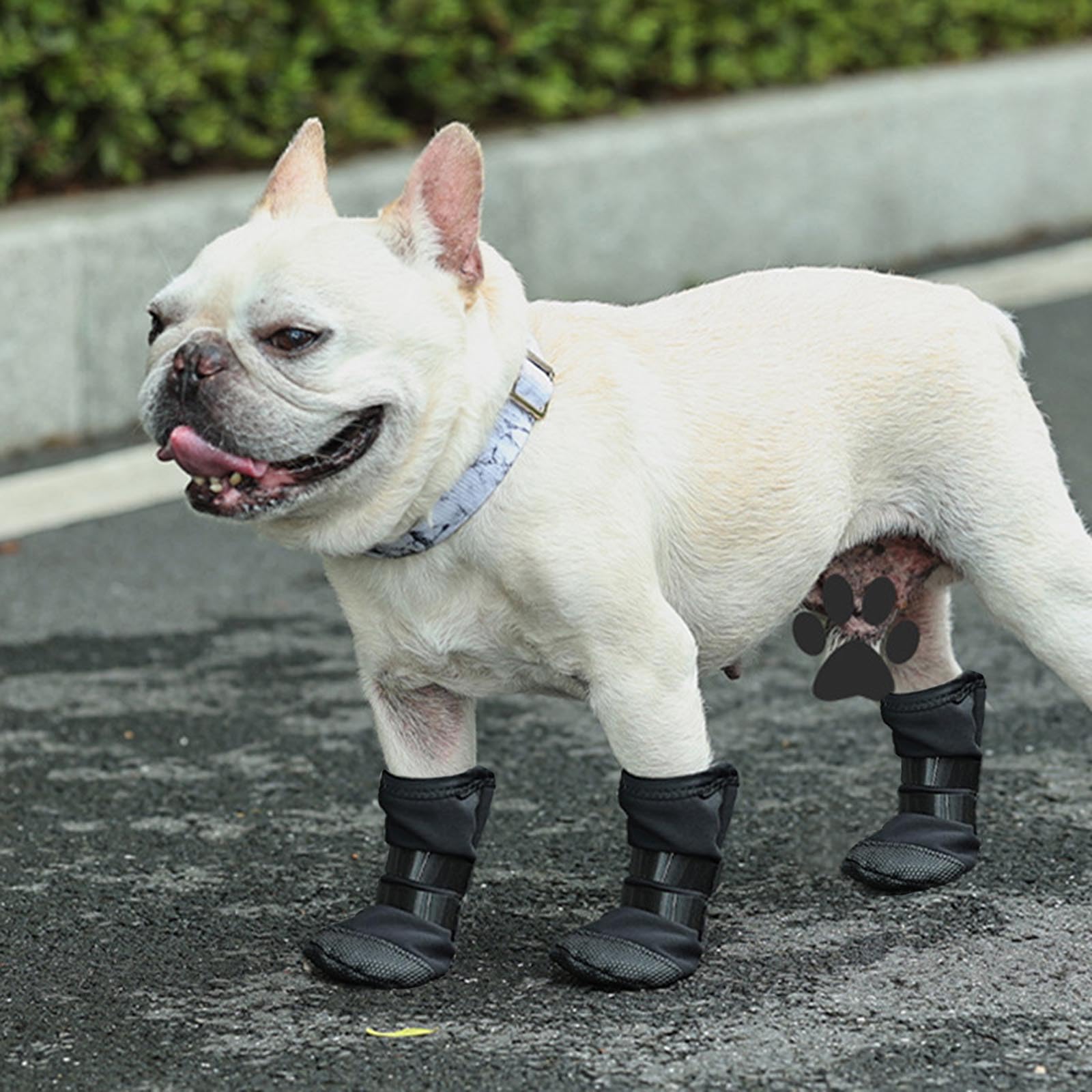 Piedi per cani Scarpe protettive per animali domestici con adesivo regolabile Scarpe per cani Stivaletti con presa spessa con bastone regolabile Calzini per animali domestici