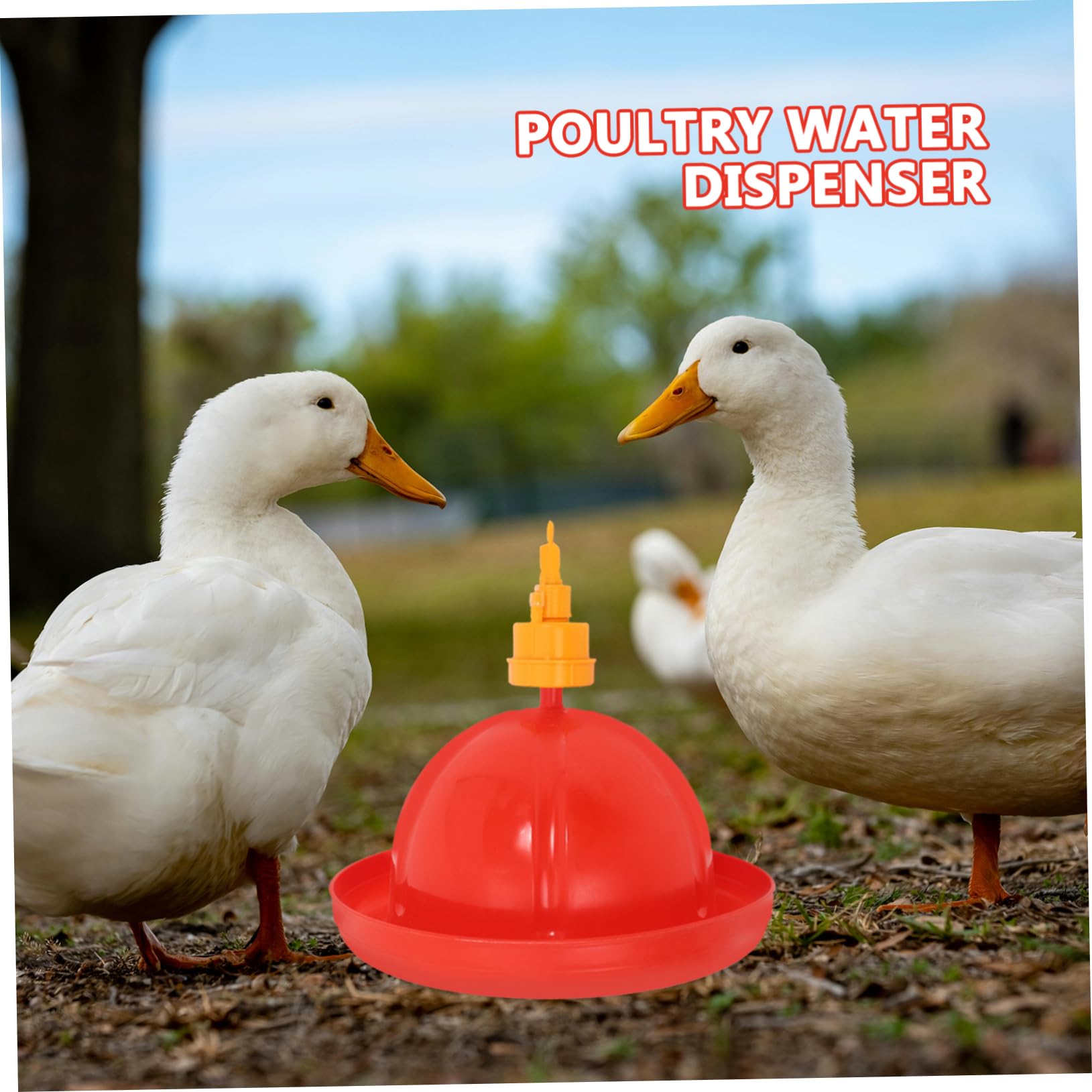 YARNOW Tazón De Agua para Pollos Comedero para Pájaros Sistema De Riego para Aves