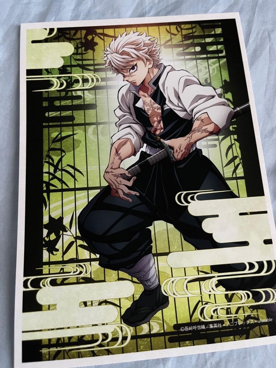 Amazon.co.jp: 鬼 滅 不死川実弥 アニプレックス ティザービジュアル  