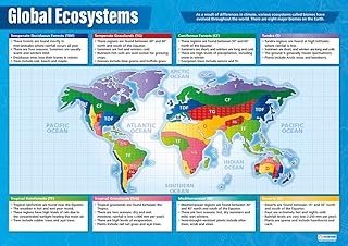 Daydream Education Global Ecosystems | Geography Posters | Laminated Gloss Paper measuring 850mm x 594mm (A1) | Geography Classroom Posters | Education Charts