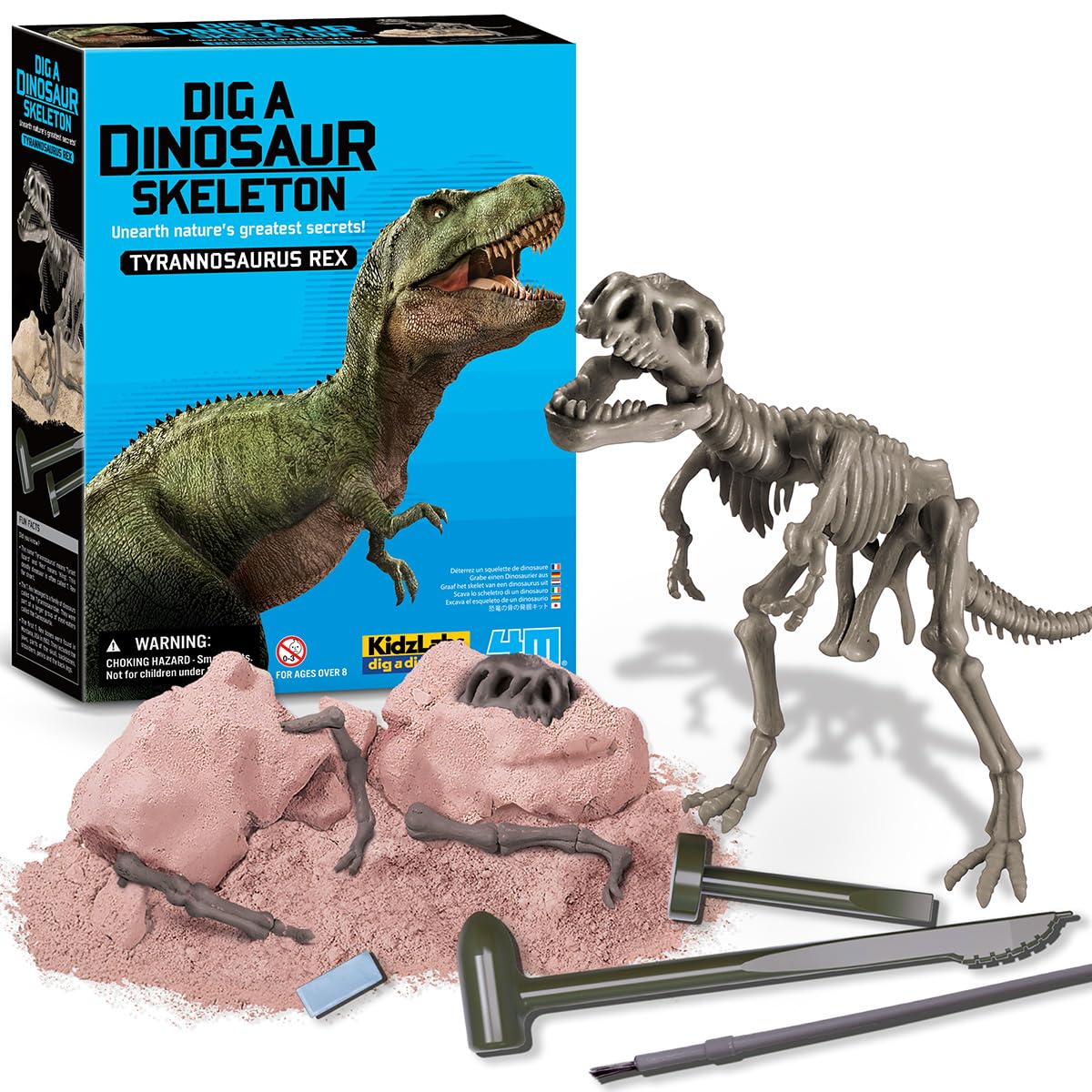 Amazon.com: Tyrannosaurus Rex Skeleton Kit for Kids Ages 8-12 – T