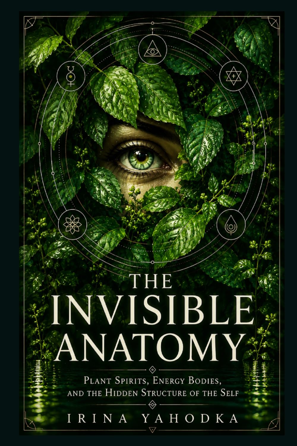 The Invisible Anatomy: Plant Spirits, Energy Bodies, and the Hidden Structure of the Self (The Psychedelic Mysteries Series)