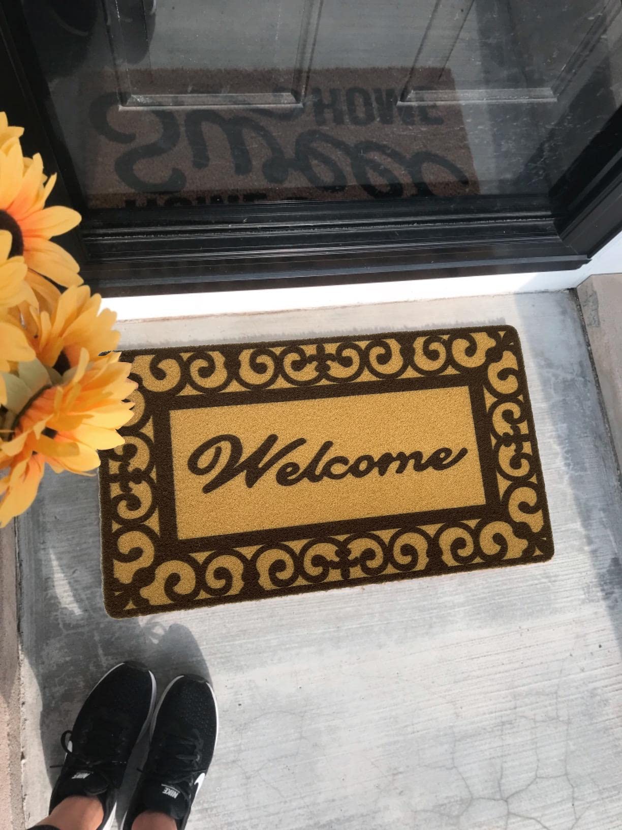 Levinis Tapete de bienvenida al aire libre, 29.5 x 17.7 pulgadas, alfombra antideslizante para todas las estaciones, resistente para uso en exteriores e interiores