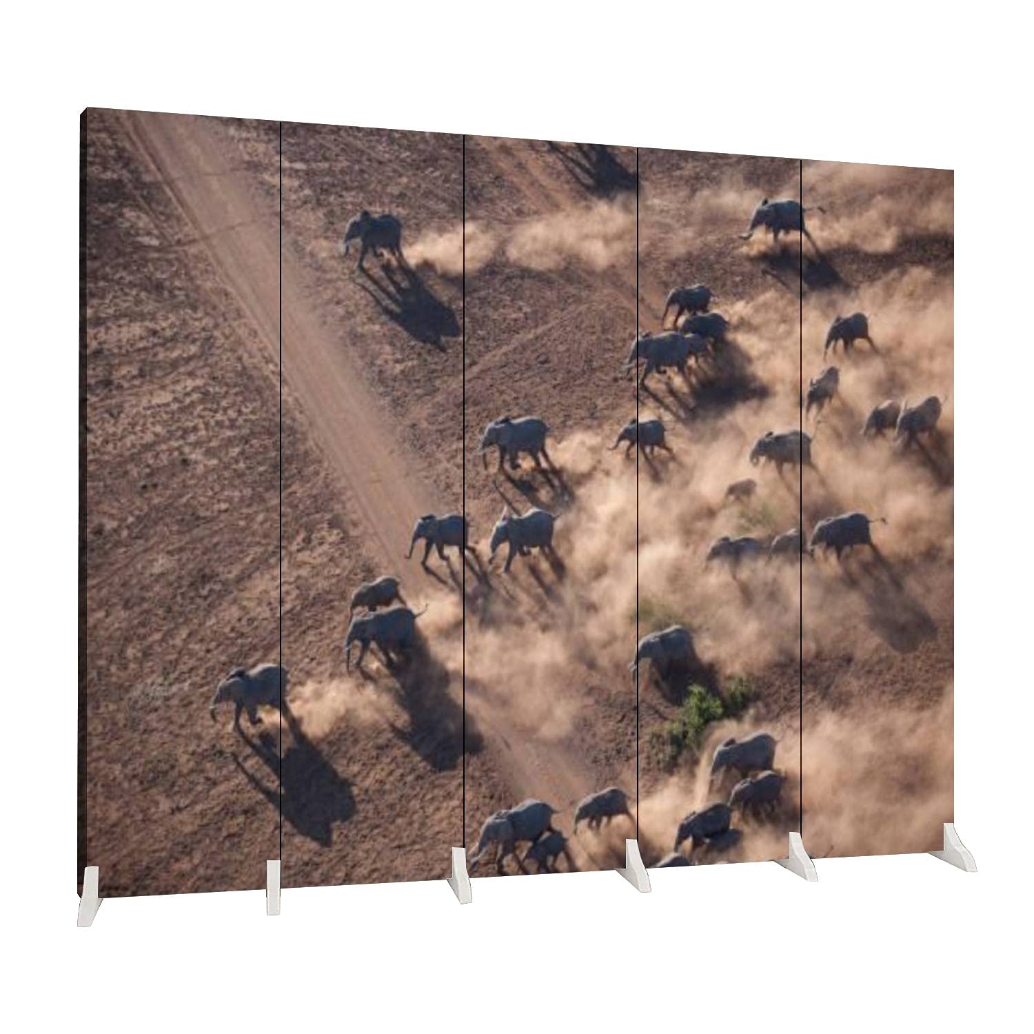 Buy DolaDola 5 Panels Screen Room Divider Kenya from The air Folding