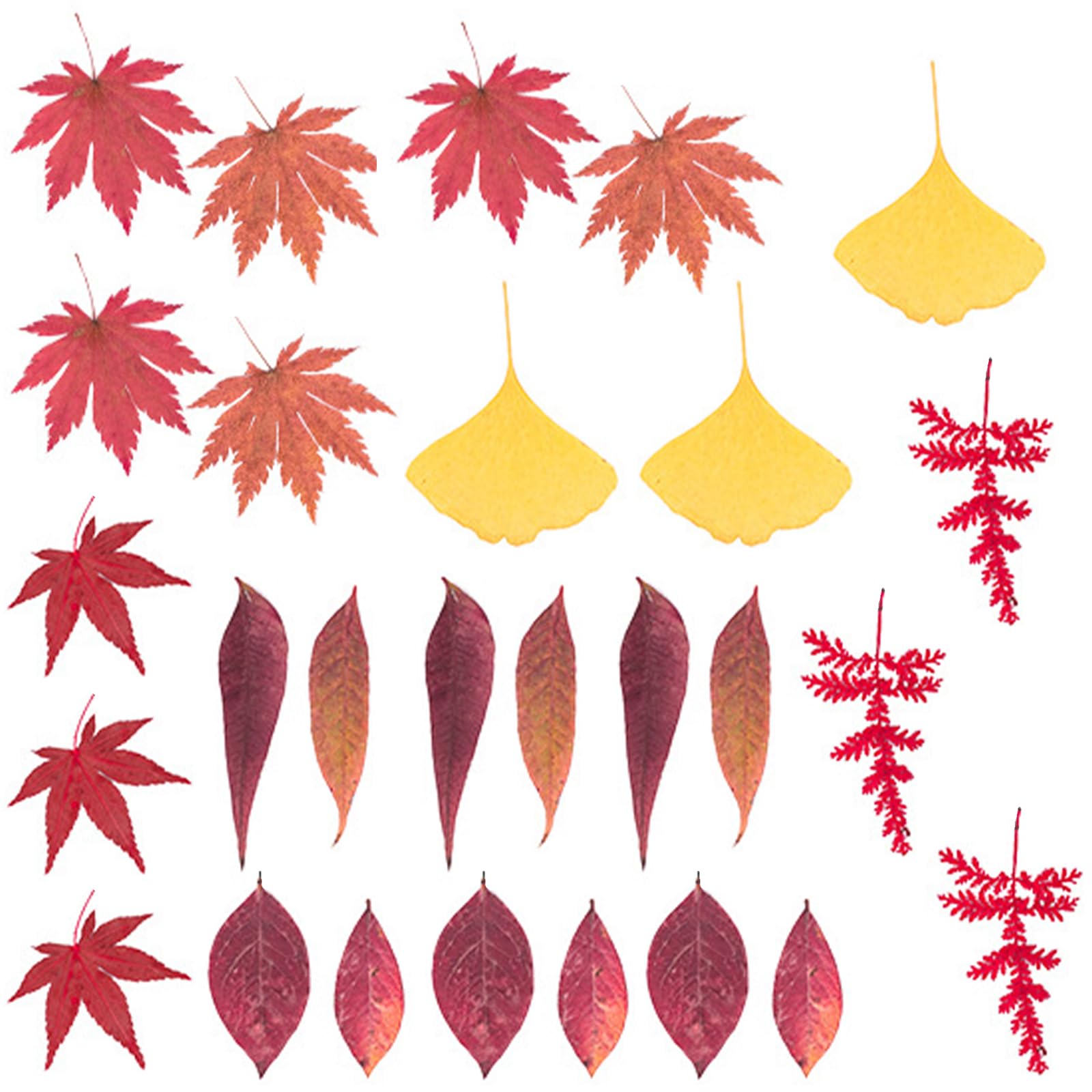 NEWFT Natural Dry Flower Leaves Set for Art Craft Scrapbooking Candle Jewelry Making Pressed Dried Flower For Epoxy Resin