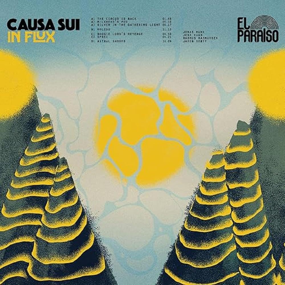 In Flux [VINYL]