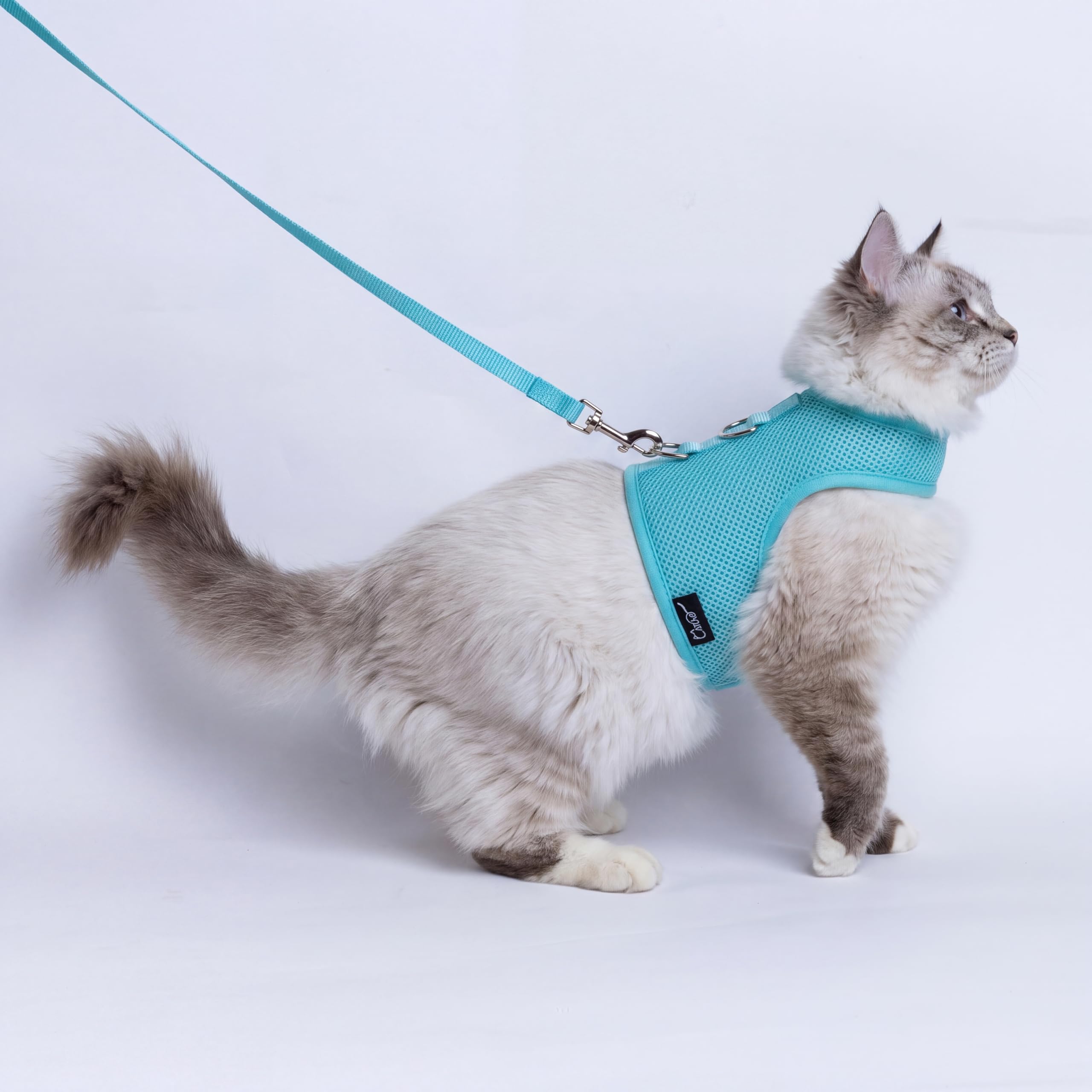 Yizhi Miaow Cat Harness and Leash for Walking Escape Proof Breathable Mesh Fabric, Turquoise, Medium, Adjustable Cat Walking Jackets, Padded Stylish Cat Vest