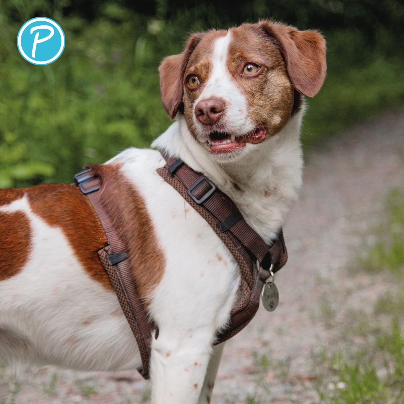 Petlando Hundegeschirr gepolstert, Mesh Y-Comfort, weich, stufenlos verstellbar, besonders leicht & atmungsaktiv, fellschonend, ergonomisch, Brustgeschirr für große Hunde, Mokka, L