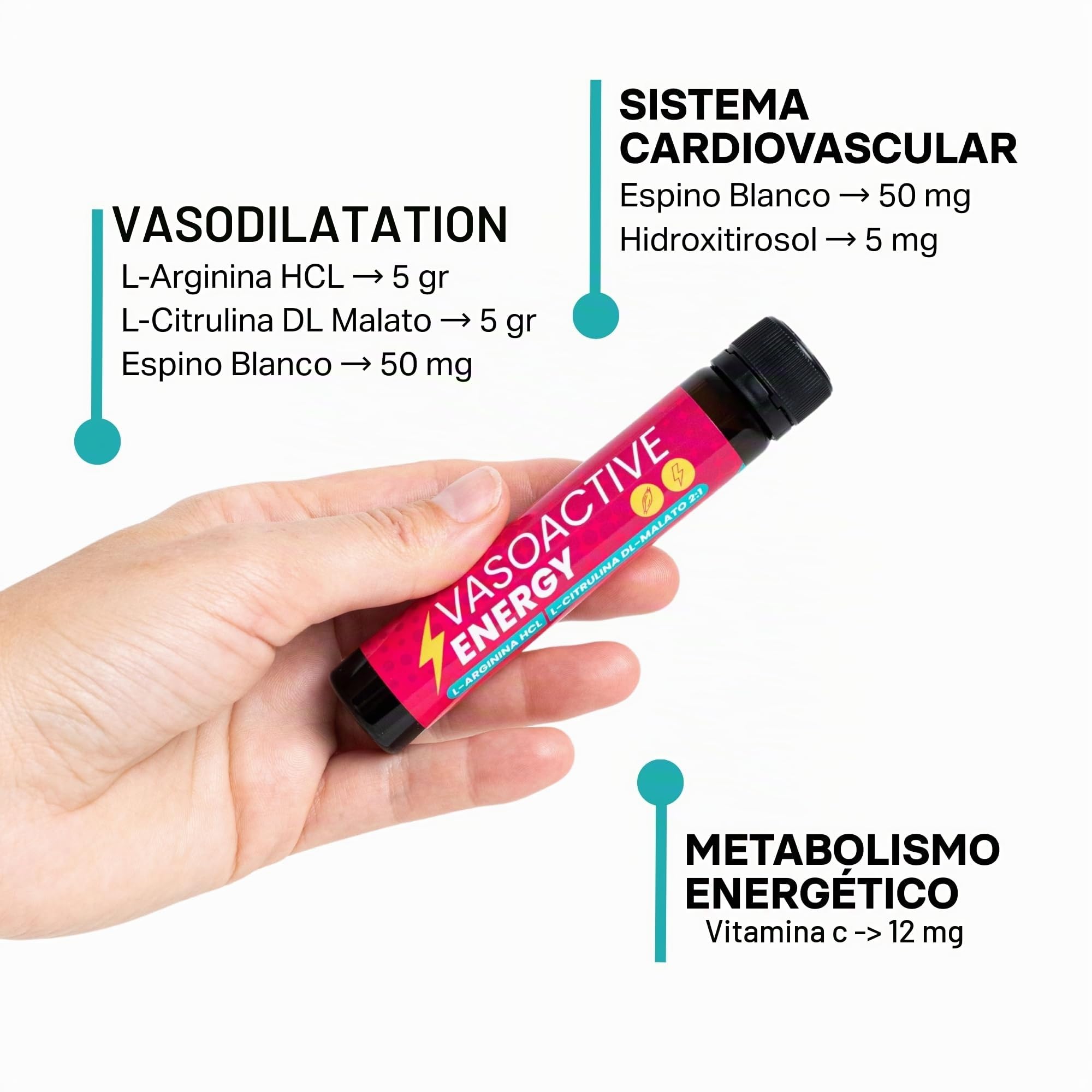 VasoActive Energy - SqualOX® | L-Arginina HCL 5000 mg + Citrulina Malato 2:1 5000 mg por dosis | Vasodilatador Energético | Pre-entreno líquido con Vitamina C y Espino Blanco