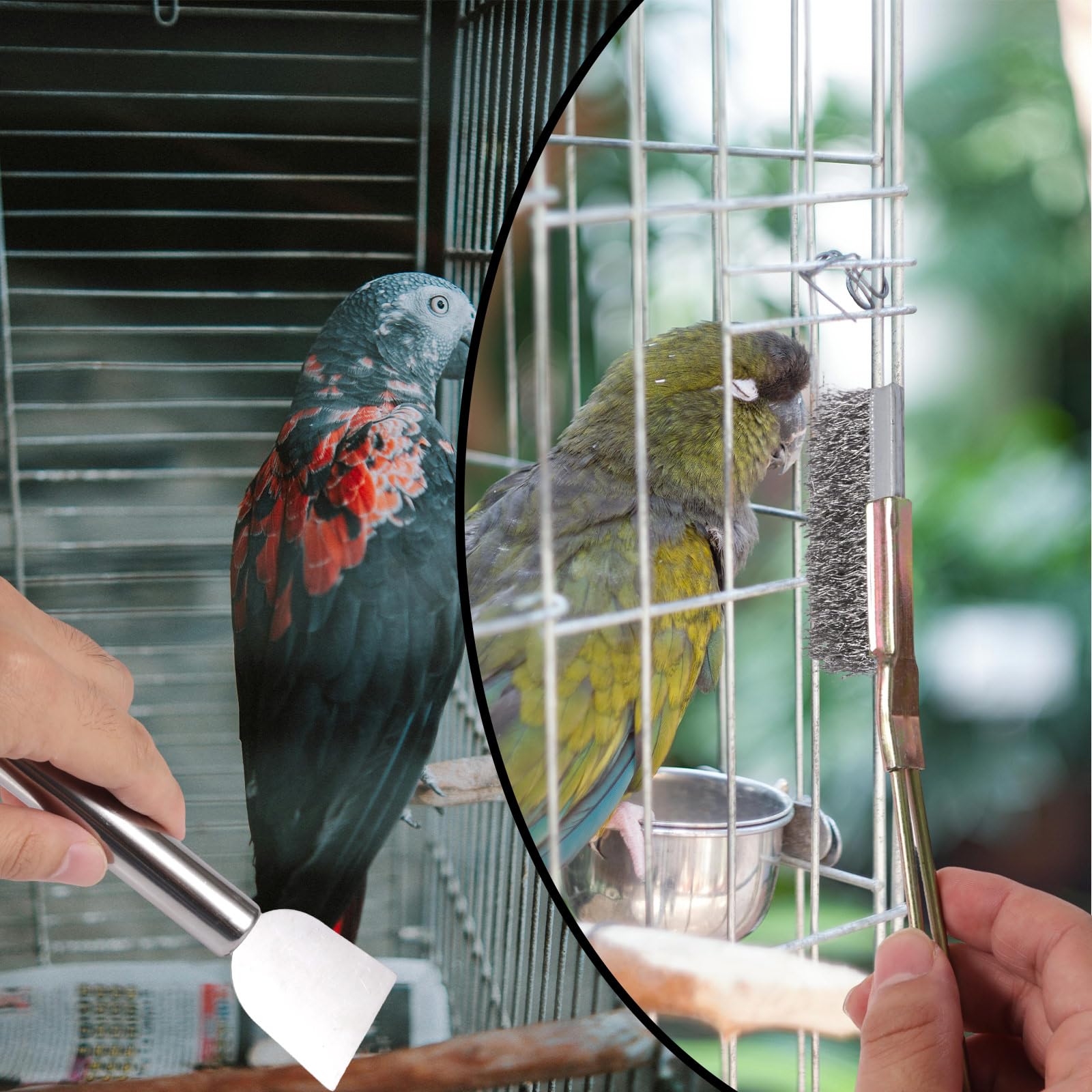 5pz Uccelli Gabbie Ulitore Set, Spazzola Pulizia Gabbie Uccelli Acciaio Inossidabile Strumento Rimozione e Raschiatura degli Escrementi Piccoli Animali per Parrocchetti Conigli Criceti