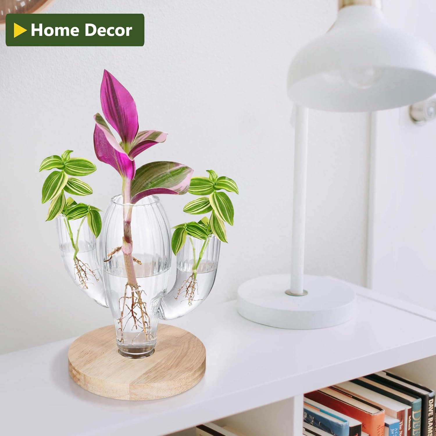 Plant Propagation Stations, Unique Cactus-Shaped Plant Propagating Vase, 3 Independent Areas for Various Plants, Gardening & Housewarming Gifts for Plant Lovers, Home or Office Decor