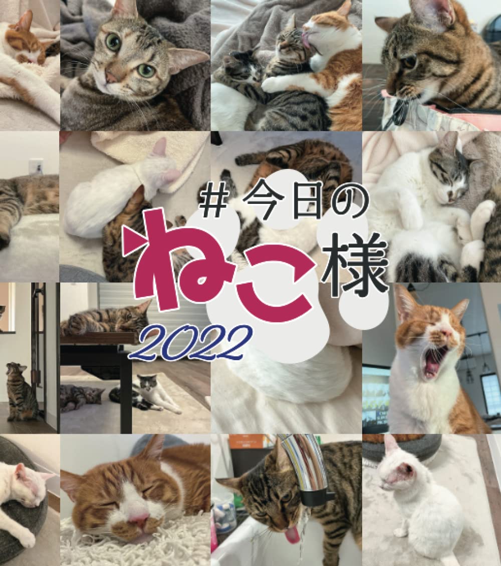 ねこ様 今日のねこ様2022: Amazon.co.uk: らっきょ: 9798387490866: Books