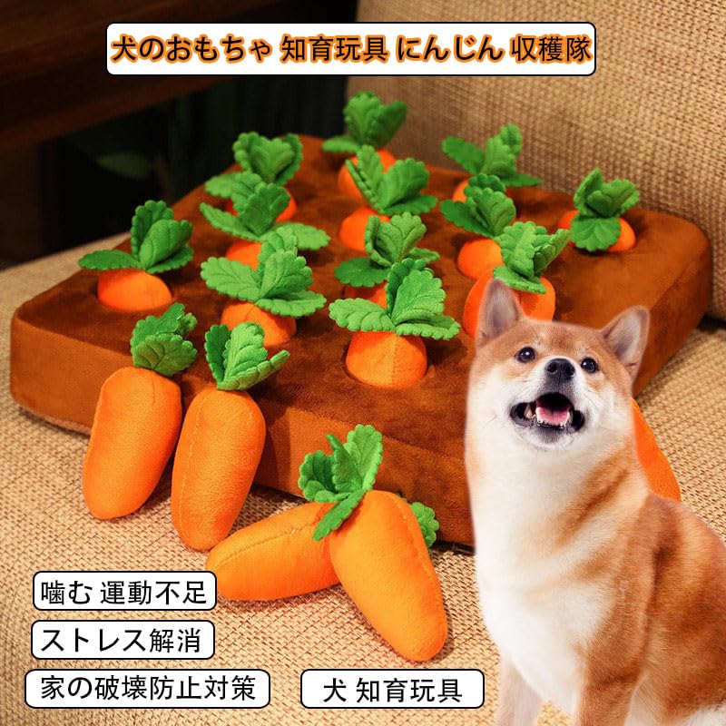 Amazon | Echana にんじん畑 ノーズワーク ペットおもちゃ クッション