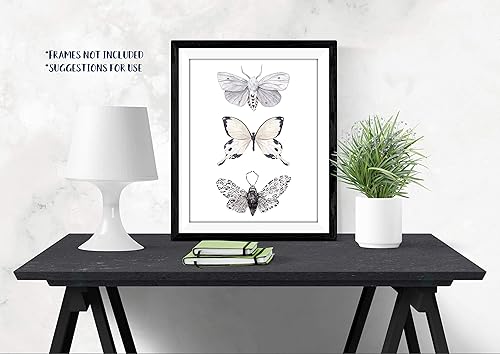 Miniatura 4 de Butterfly Wall Art - Black & White Butterflies Decor - Watercolor Art Print - 11x14  Unframed Poster