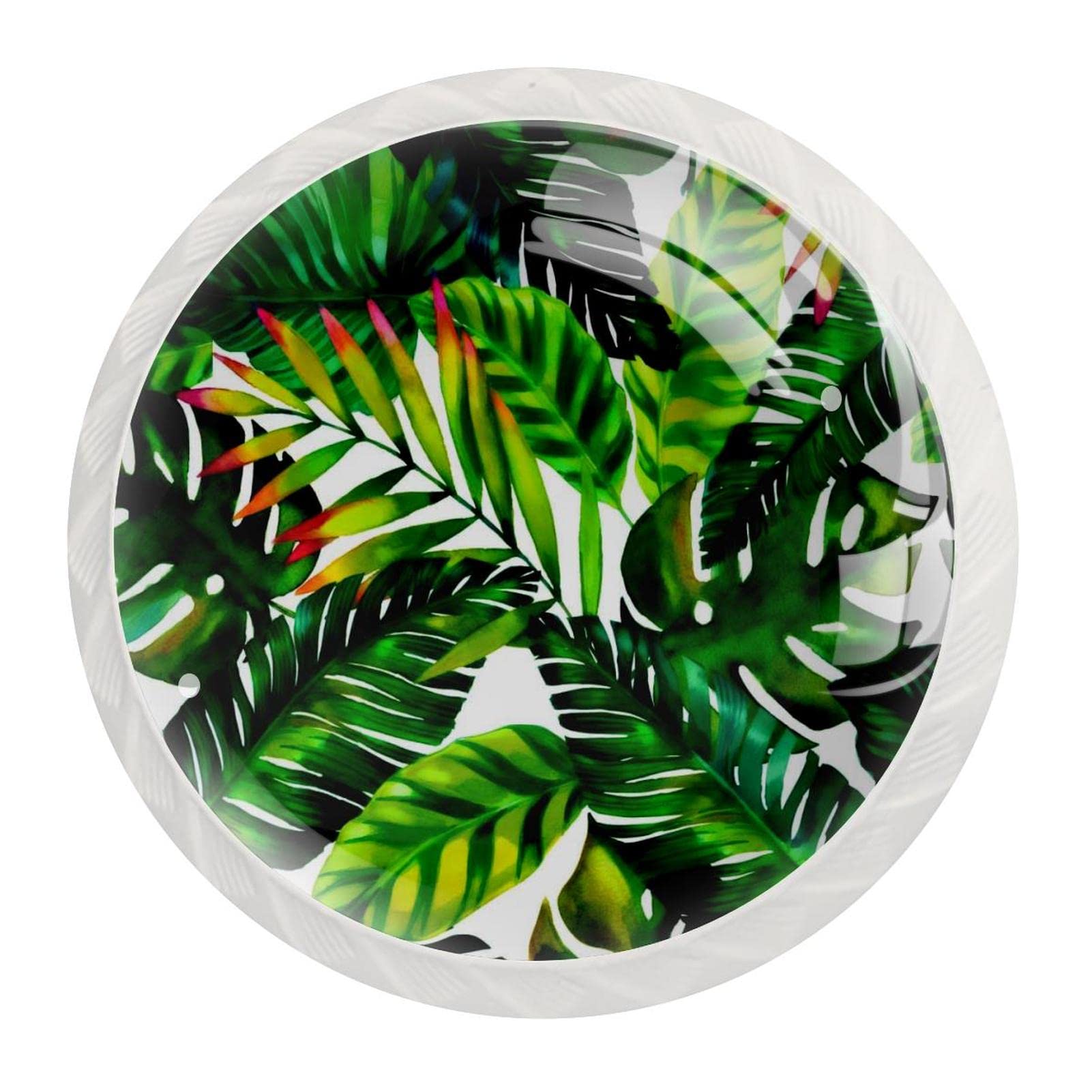 Boutons de meuble lot de 12 pour boutons de tiroir et boutons de commode design tropical