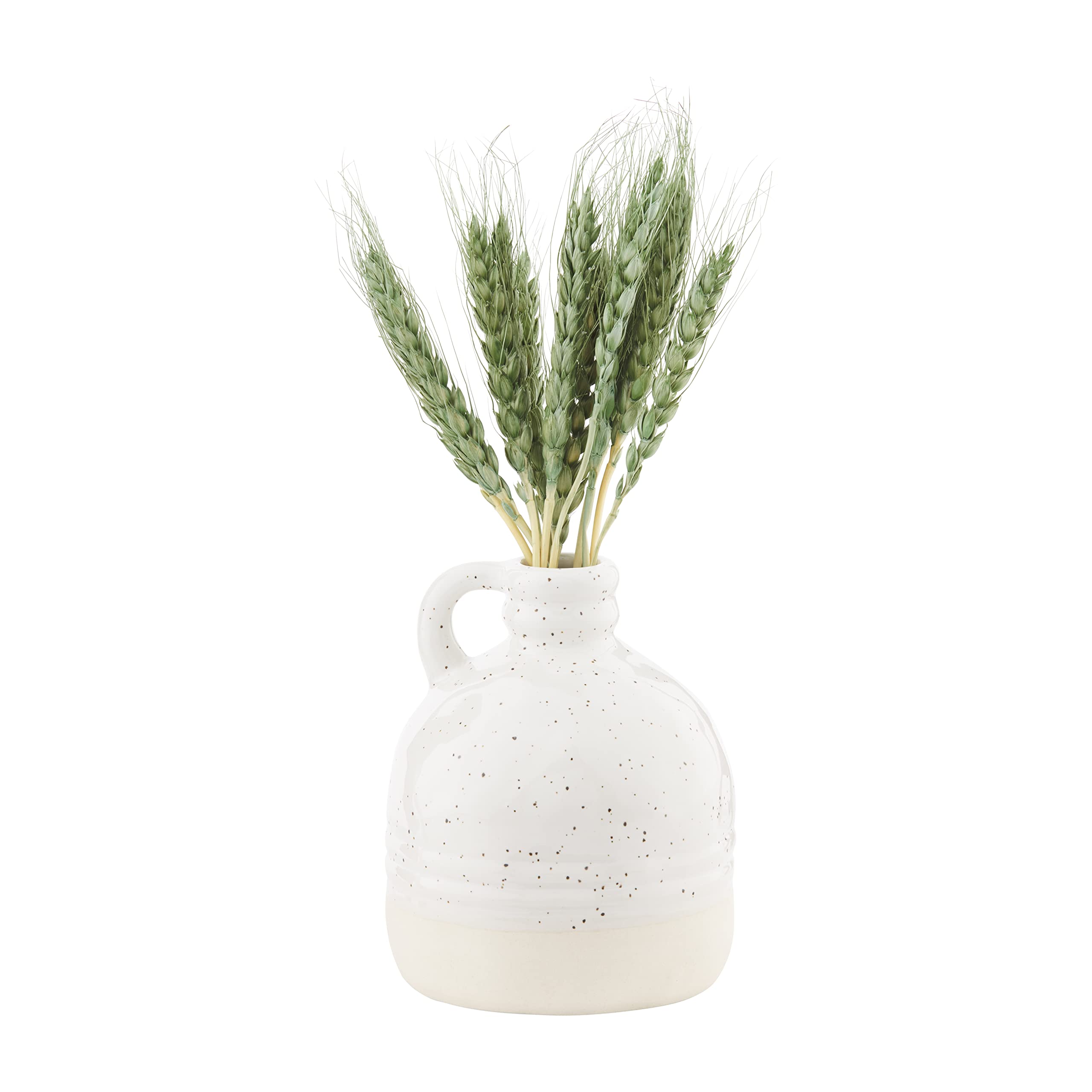 Amazon.com: Mud Pie Preserved Wheat in Vase, Green : Home & Kitchen