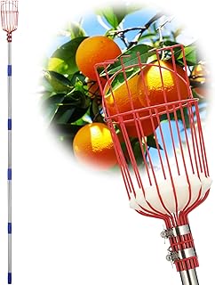 Fruit Picker Pole with Basket Long Handle, 8FT Adjustable Fruit Catcher Tool for Apple Mango Pear Orange Avocado Lemon Citrus Tree Picker