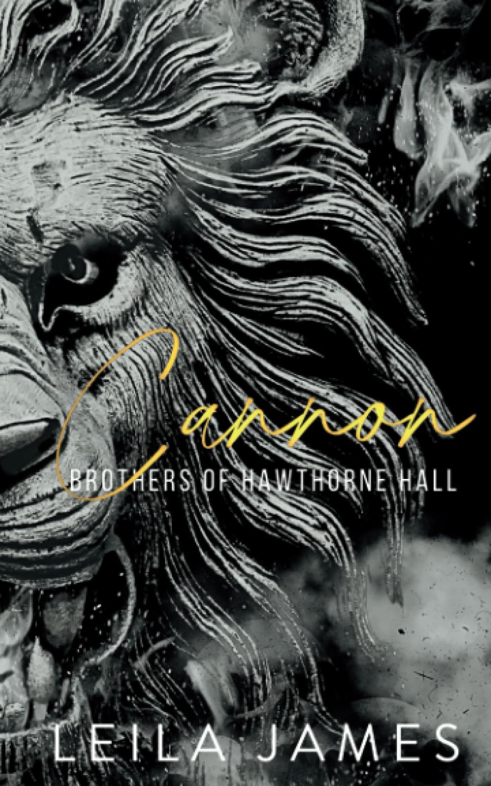 Cannon Special Edition (Brothers of Hawthorne Hall)