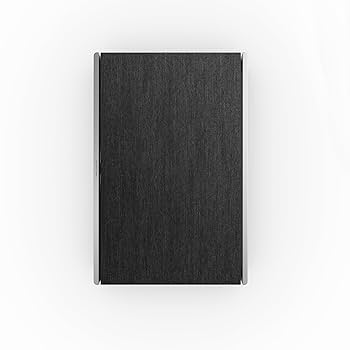 Amazon.com: Bang & Olufsen Beosound Level Portable Wi-Fi