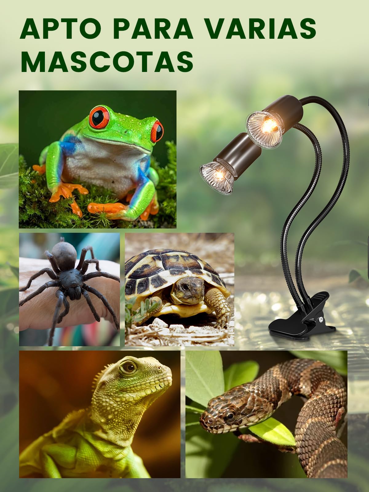 GlowUp Lampara Tortuga de Tierra con Temporizador, Lampara de Calor para Tortugas, control independiente, 360° para tortugas, dragones barbudos y lagartos, Incluye 2 bombillas E27