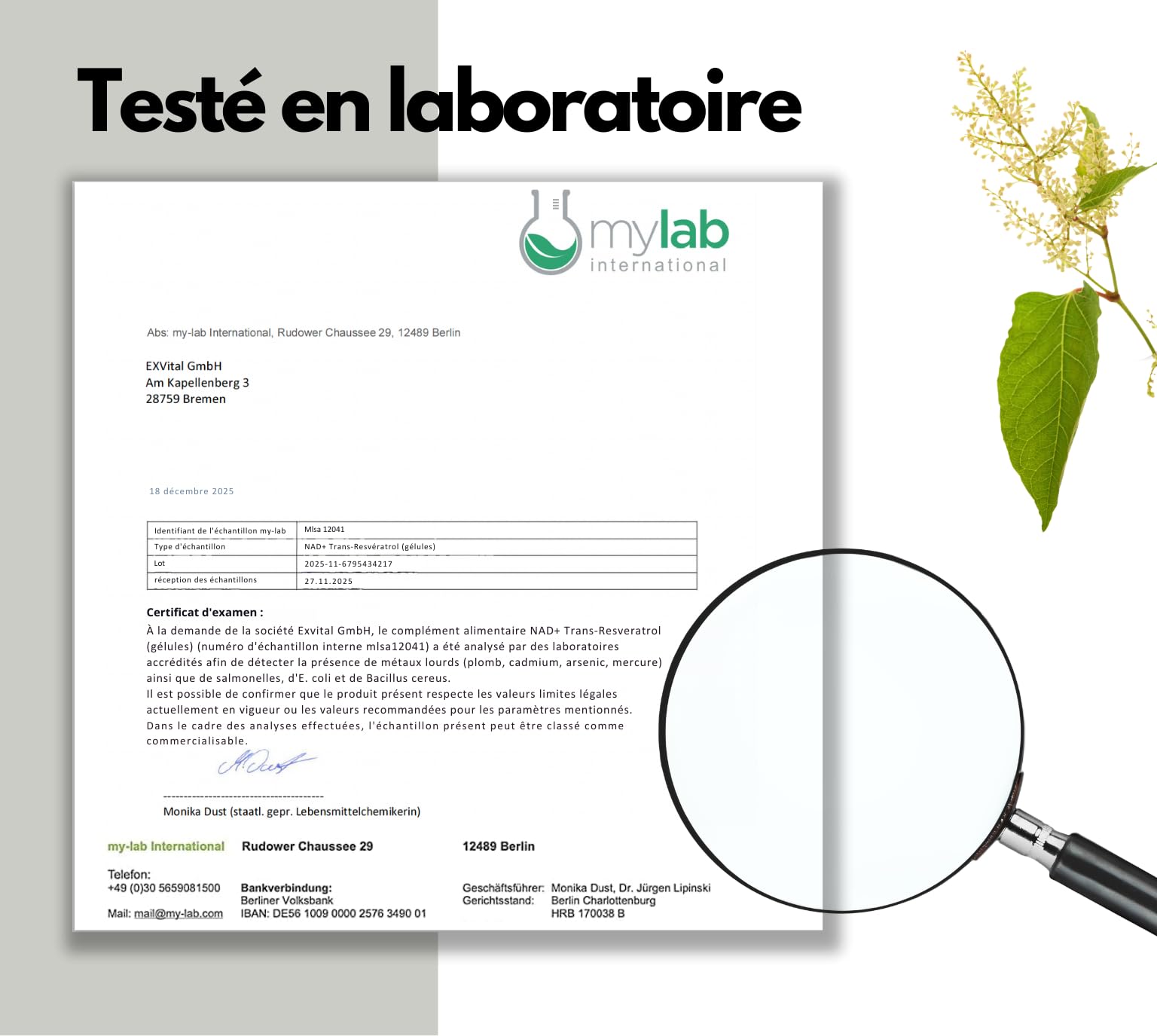 EXVital® NAD+, 1000 mg de NAD+ et 600 mg de trans-resvératrol par jour - 120 gélules végétaliennes - liposomales et biodisponibilité maximale, hautement dosées et testées en laboratoire