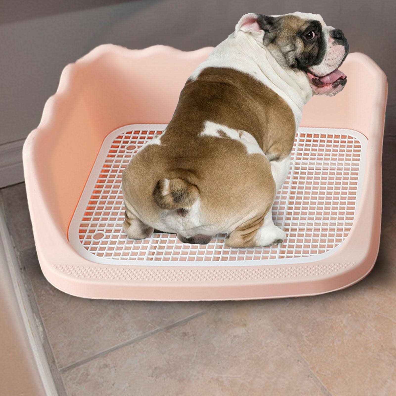 Hondentoilet, Hondenpotje voor Binnen Hond Indoor