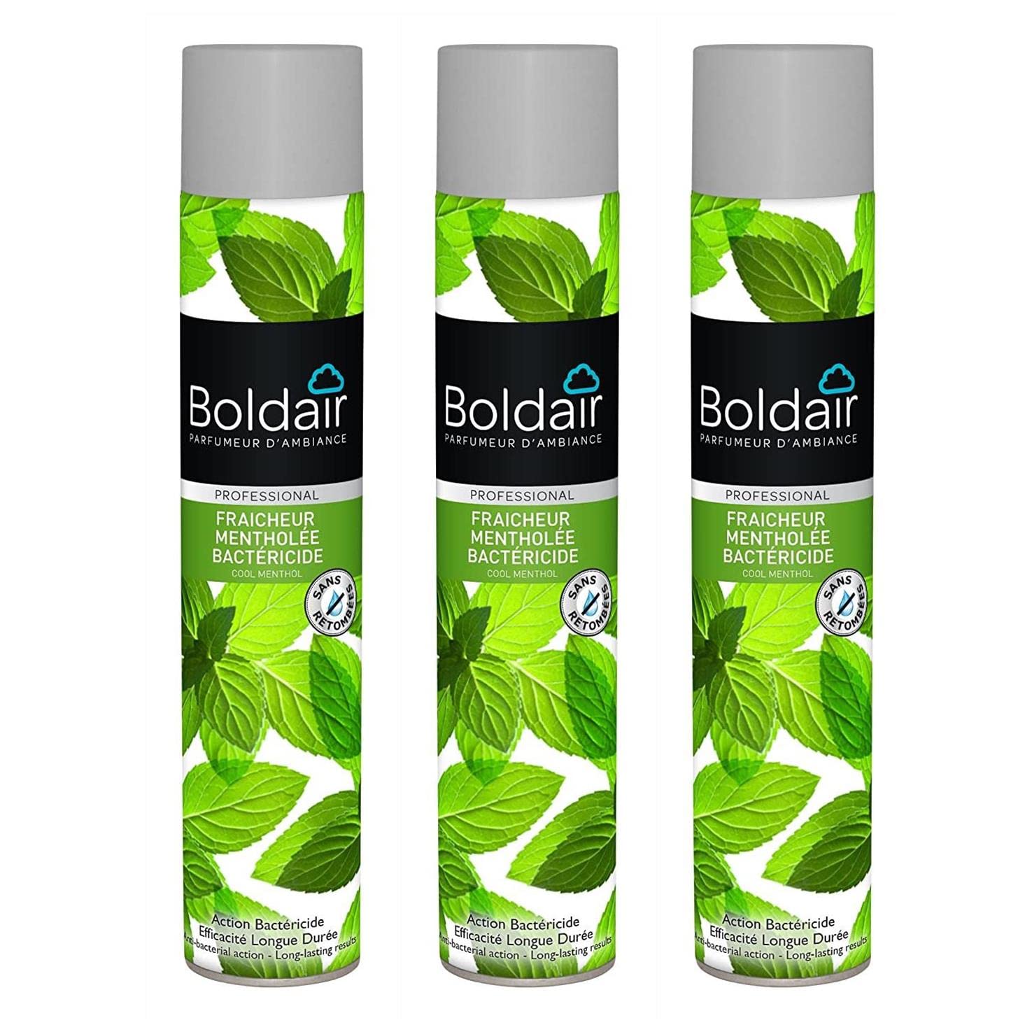 BOLDAIR Désodorisants Bactéricide Fraiche Menthe - Lot de 3