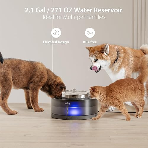 Miniatura 4 de iPettie Fuente de agua para pasteles, dispensador automático de gran capacidad de 8L2.1 galones, purificador de agua filtrado con bomba inalámbrica