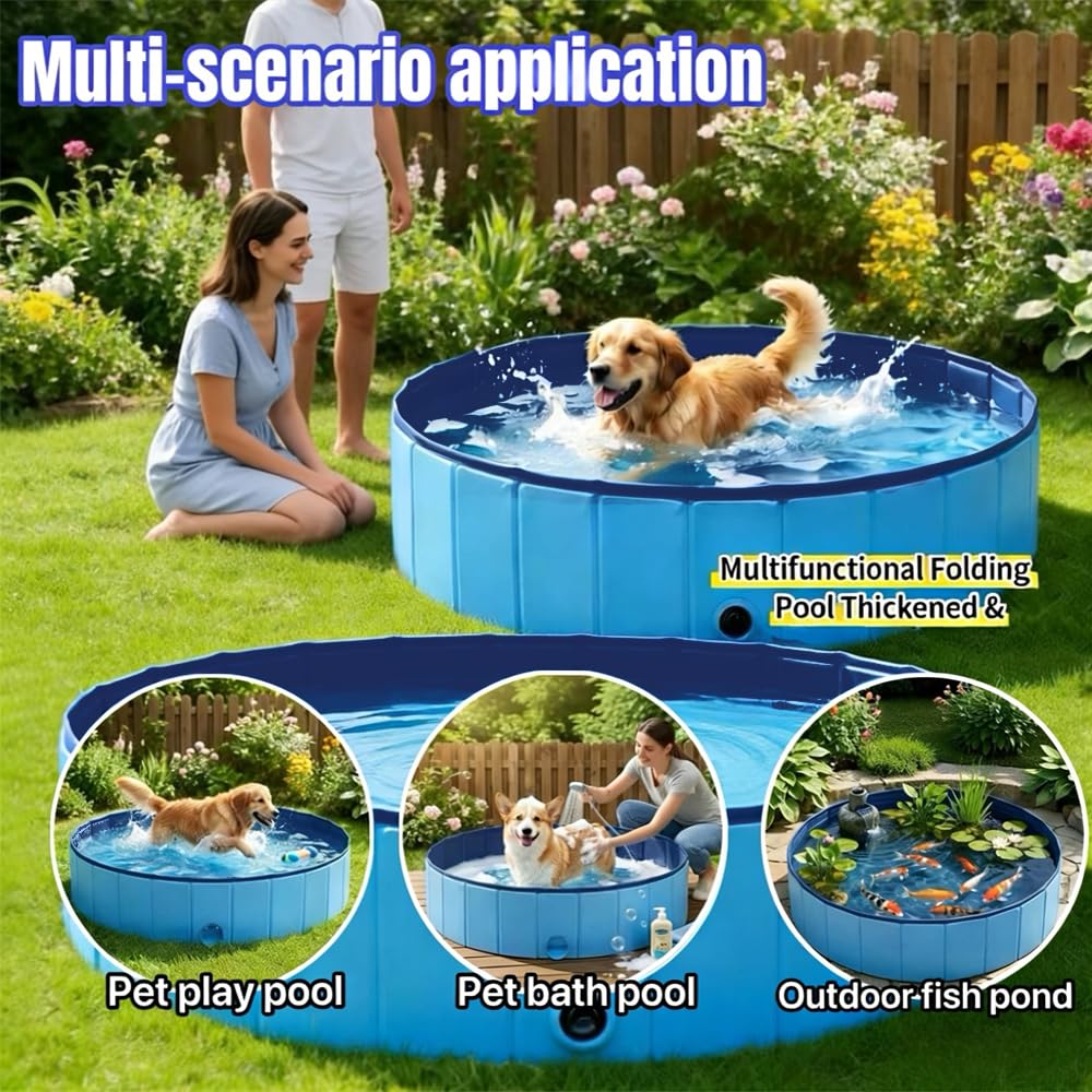 Piscina para perros