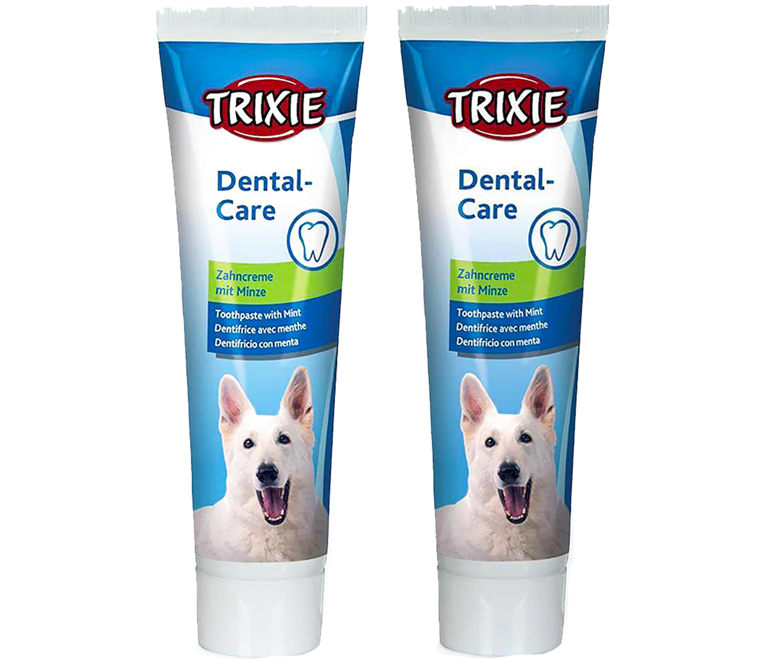 Trixie Dog Toothpaste with Mint 100 grams: Dental Care for Dogs (Pack of 2) (B0CWDJ4LTF) Amazon Price History, Amazon Price Tracker