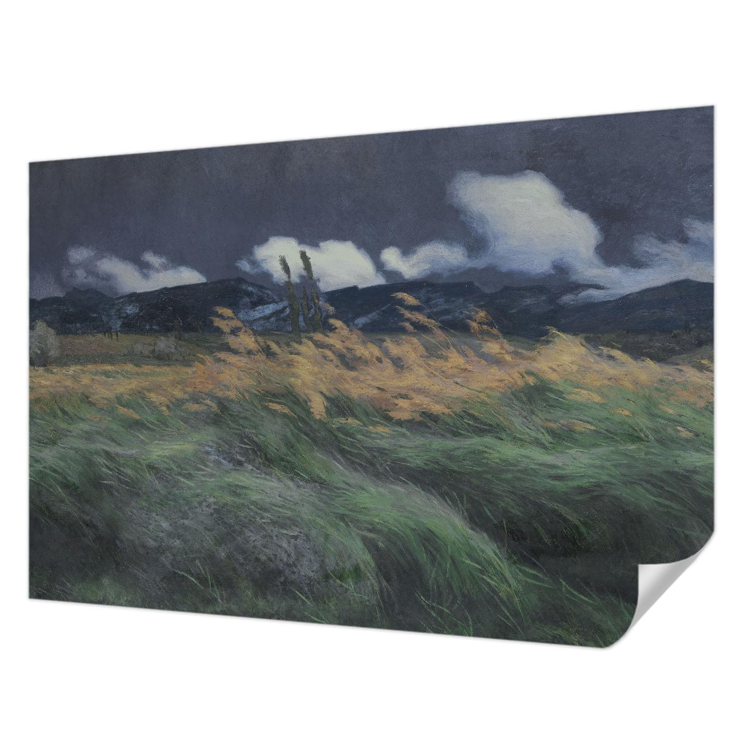 Papier peint haute qualité 152x104 décoration intérieure herbes soufflées