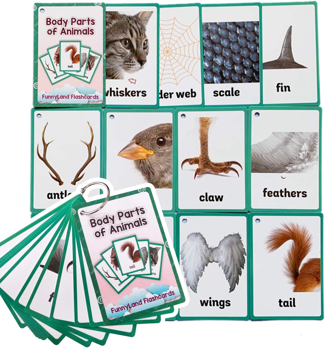 12PCS/Set Animals Body Parts Kids Gifts English Flash Cards Pocket Card Educational Learning Baby Toys for Children Pre-Kindergarten