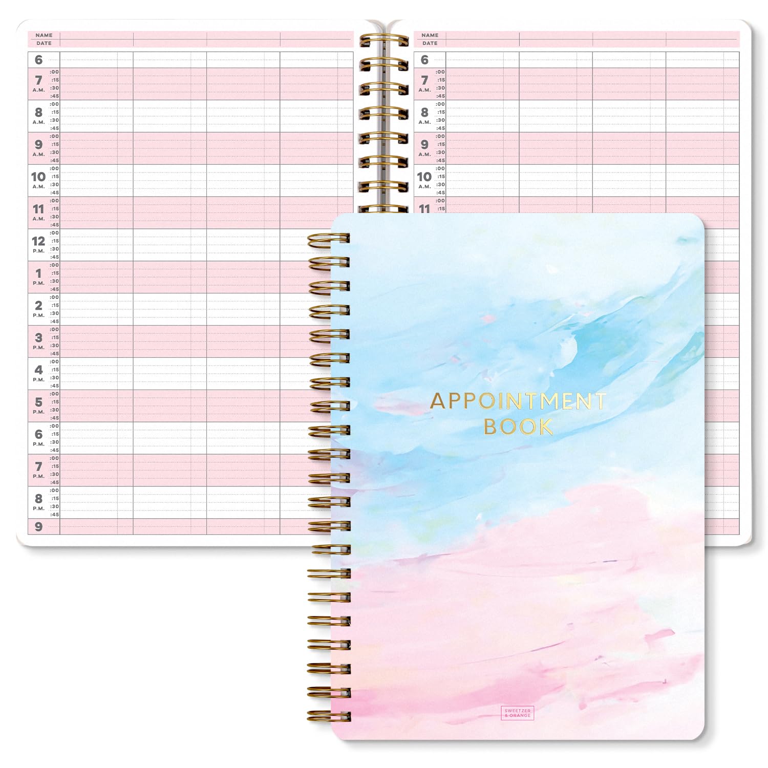 S&O Appointment Book with 15 Minute Slots, Daily Hourly Daybook 6AM to 9PM, Salon Slot journal, meeting Calendar, Everyday Schedule Organizer, Four Column Day Planner with Hourly Schedule, 2025 +
