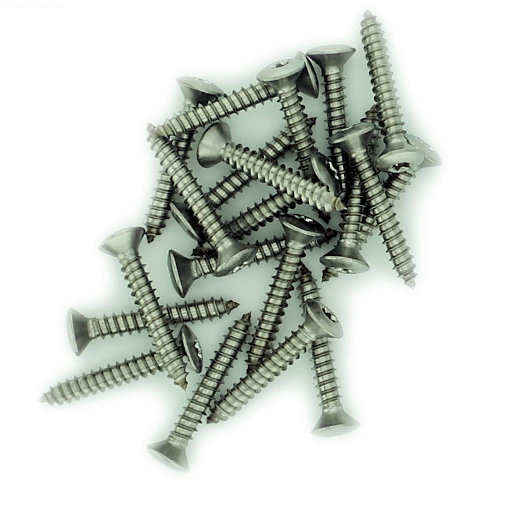 Singularity Supplies Silver No.10 X 1.975 (4.8Mm X 50Mm) Tx Raised Countersunk Self-Tapping Screw - Stainless Steel (A2) (Pack Of 20)