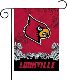 Rico Industries NCAA Unisex-Adult GFL Garden Flag - Standard - NCAA