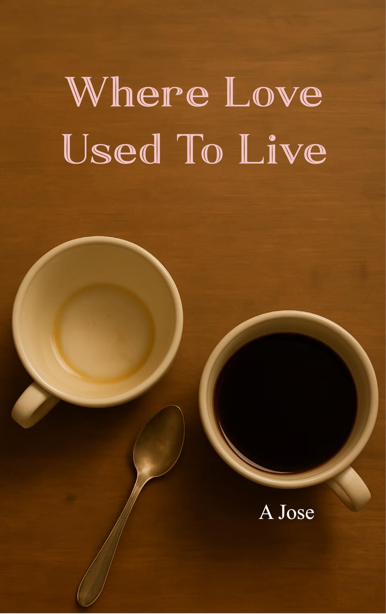 Where Love Used to Live (Edition1st)