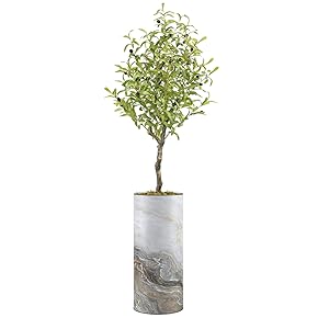 SIGNWIN Olive Tree with White Granite & Brown...