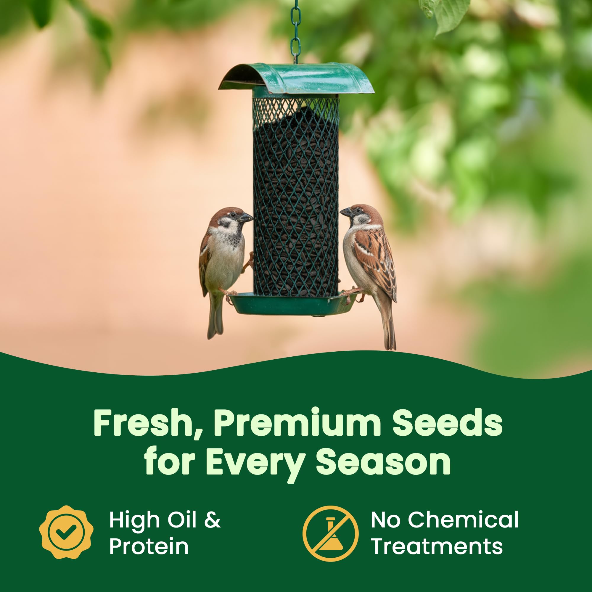 Happy Wings Black Oil Sunflower Seeds – 5 lb Wild Bird Food for Cardinals, Finches & Chickadees – High-Energy Natural Bird Feed for All Life Stages