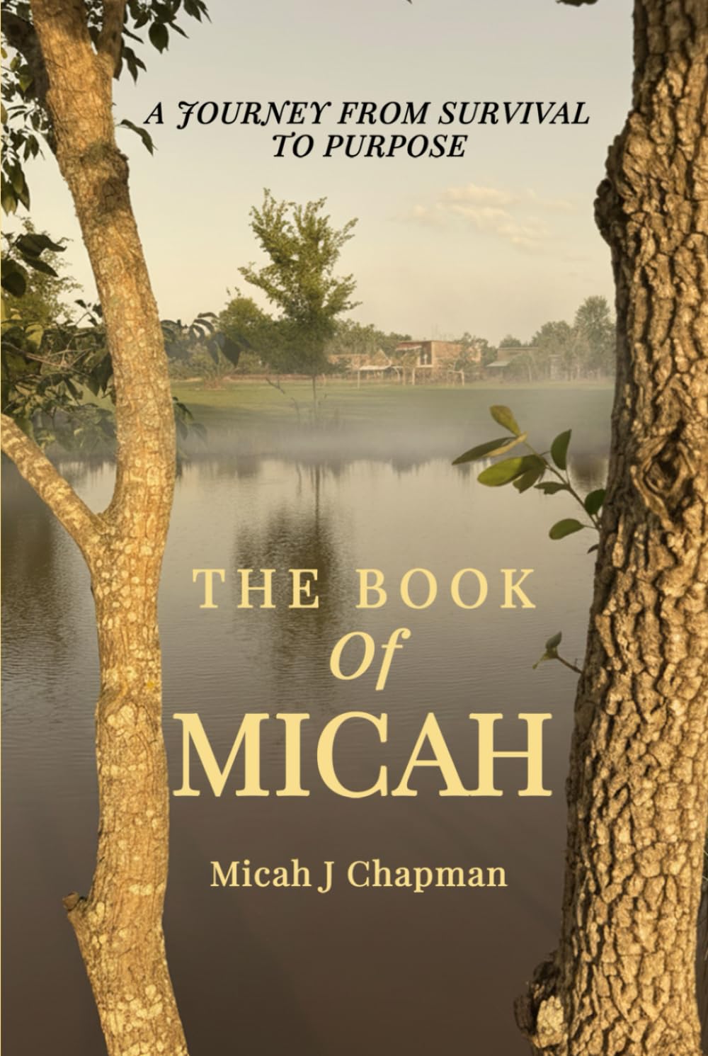 The Book of Micah: A Journey from Survival to Purpose