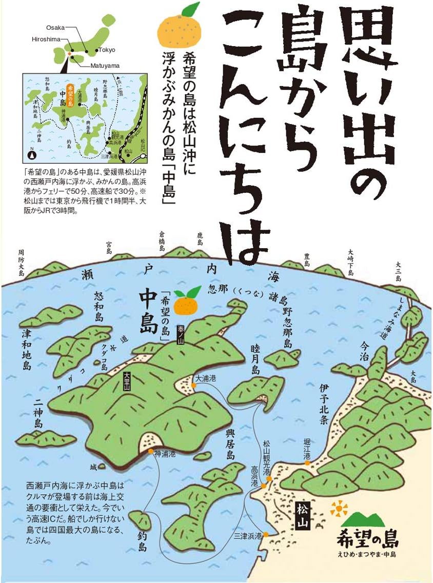 希望の島 せとか 約3kg(10玉or12玉or15玉) 家庭用 サイズお任せ 愛媛 中島産 みかん 柑橘