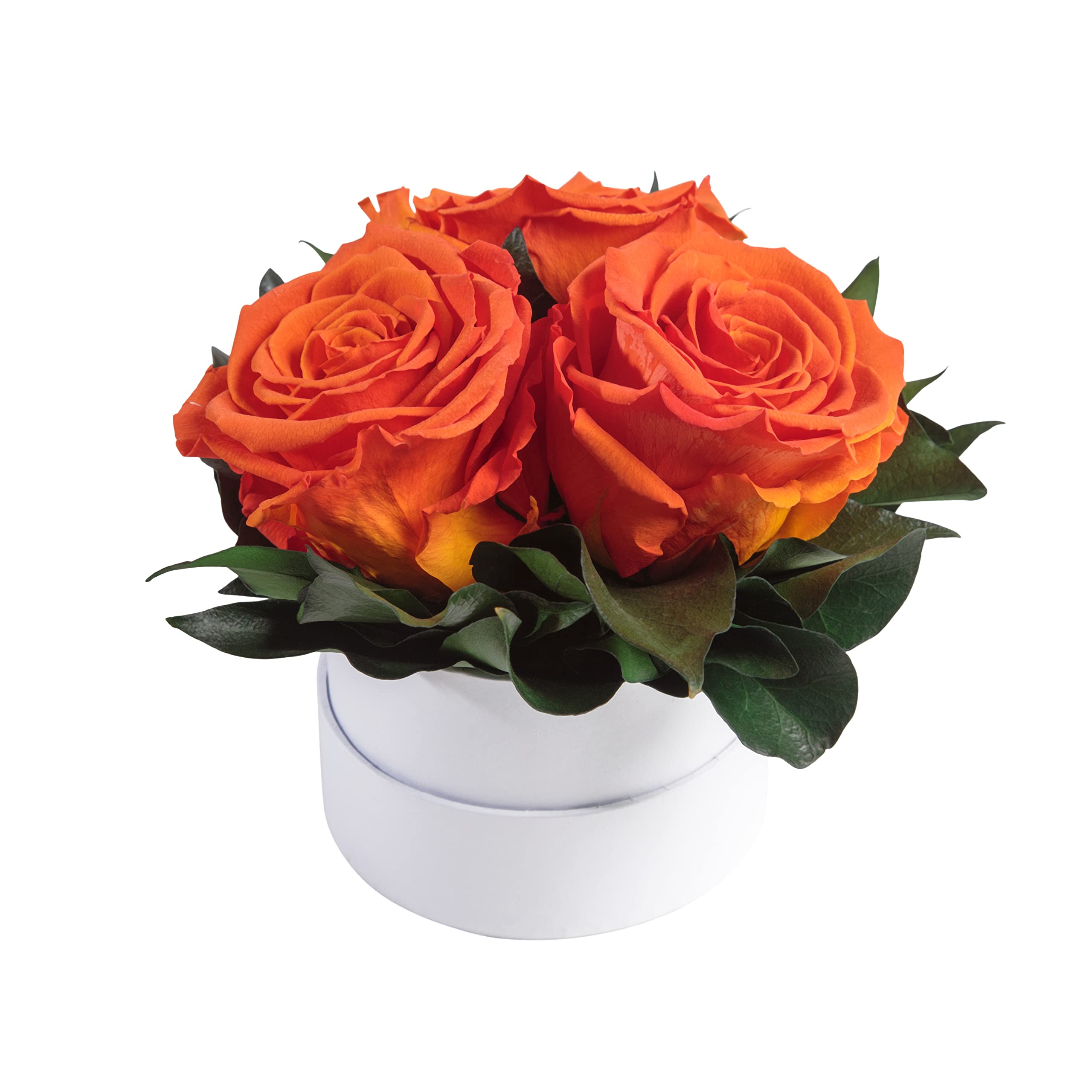 Infinity Rosenbox weiß rund konservierte Blumen Orange - 3 Infinity Rosen Durchmesser 15 cm - Lieblingsmensch Geschenk (Orange, Medium)