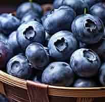 Amazon.co.jp: これはうまい！ 生 ブルーベリー 国産 1kg (約