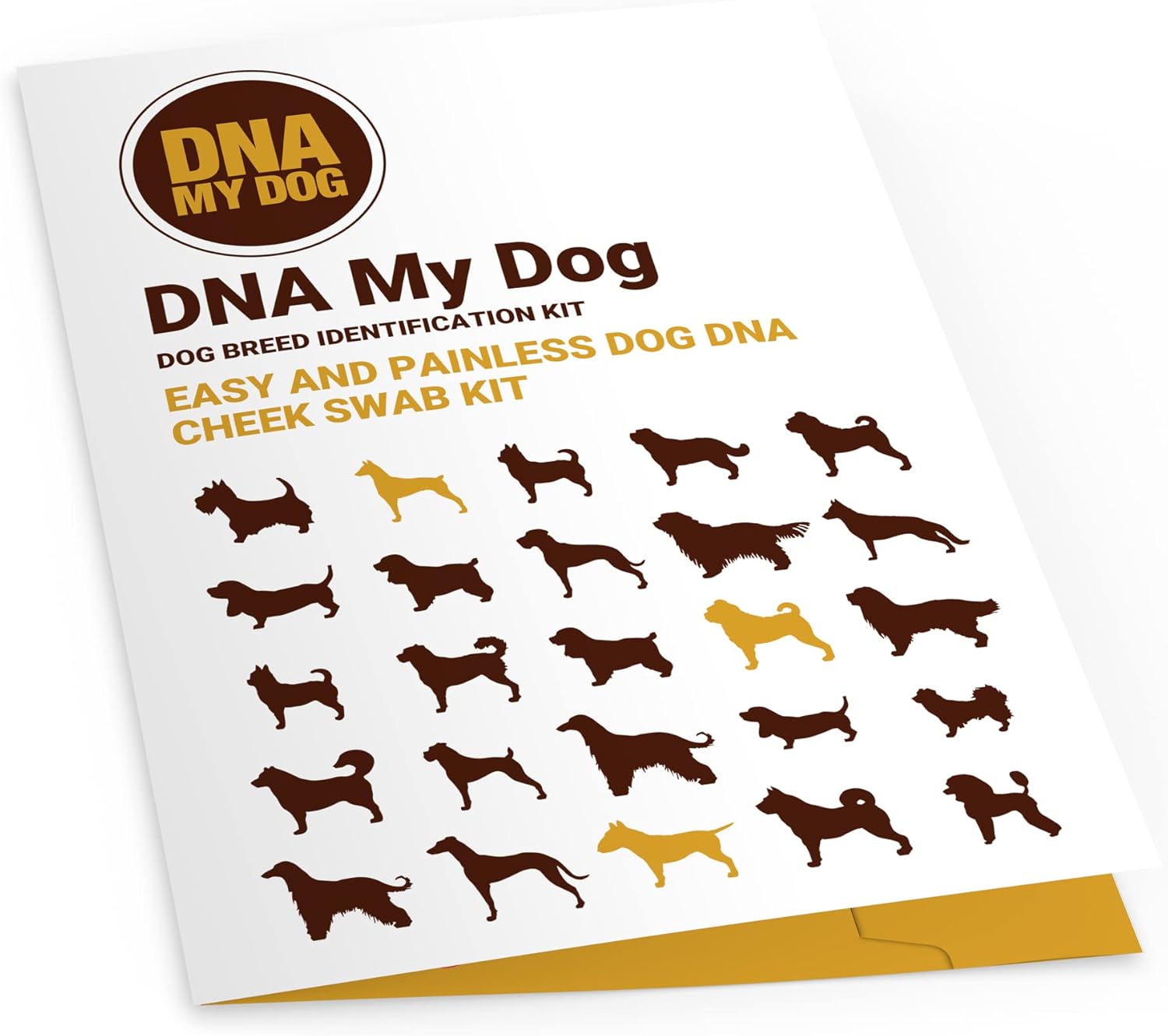 AffinityDNA DNA My Dog Testkit zur Identifizierung von Hunderassen