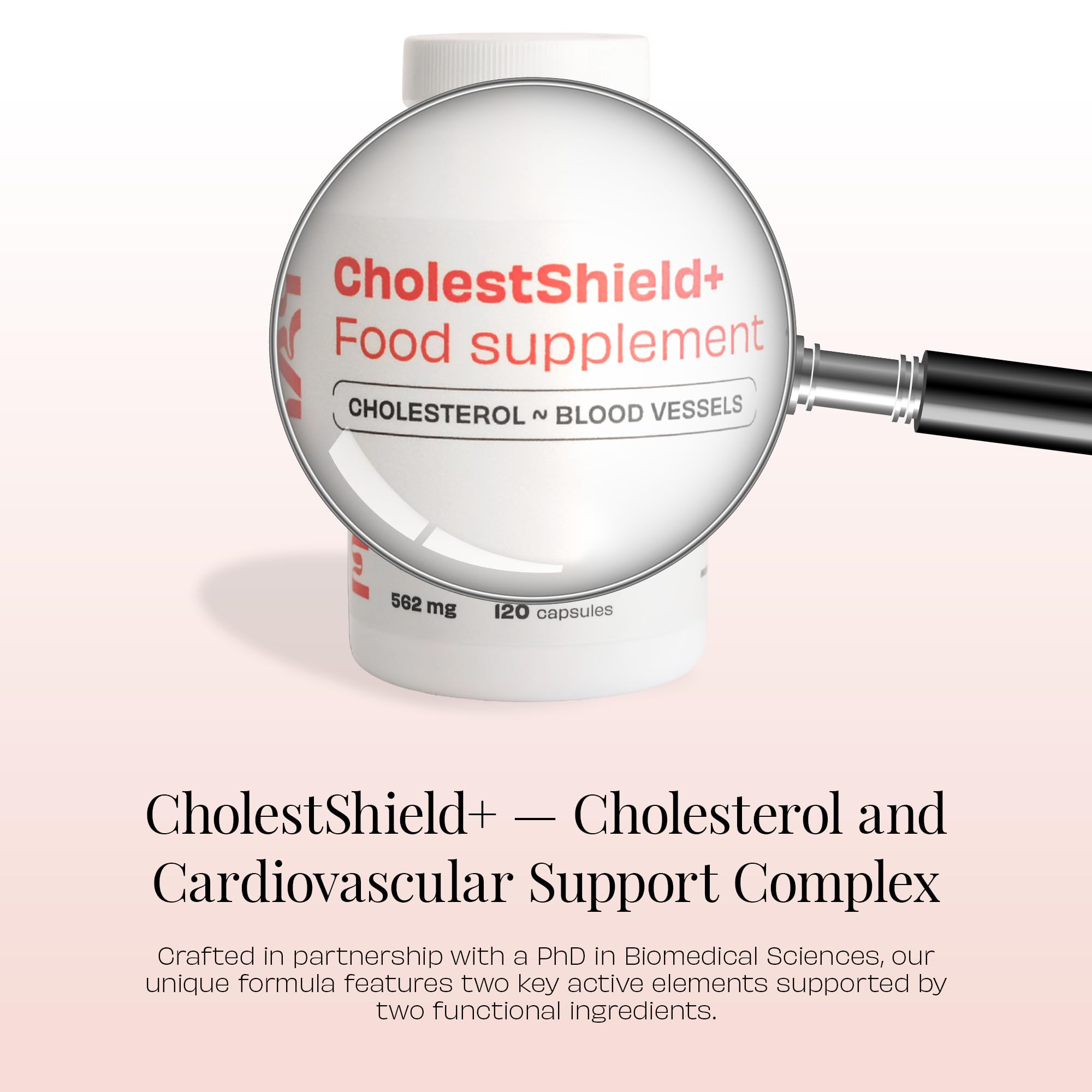 CholestShield+ Kapseln – Vegane Rezeptur mit Nattokinase, Shiitake & Coenzym Q10 – 120 Kapseln – Nahrungsergänzungsmittel