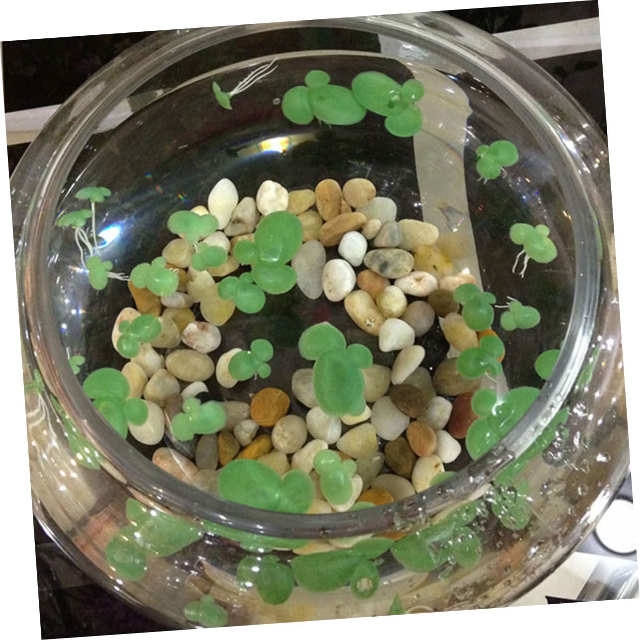 VANZACK 270piezas Decoración De Acuario Plantas Flotantes Simuladas De Lentejas Falsas Accesorios para Peceras Ornamento Natural para Tanques De Agua