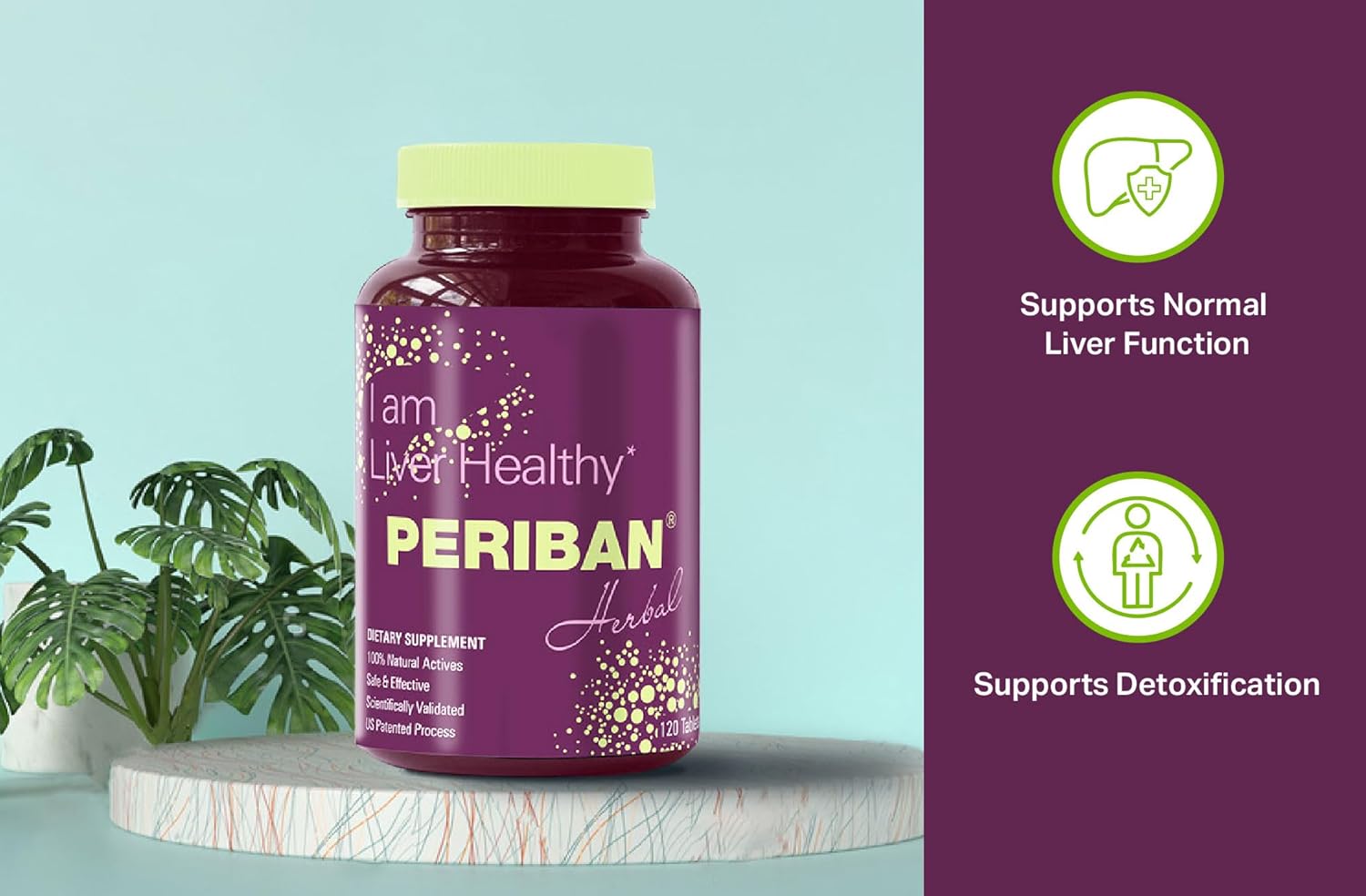Liver Support -Blend of Andrographis Paniculata, Boerrhavia Diffusa, Tephrosia Purpurea, Phyllanthus Niruri. Proven to Support The Body's Natural Liver Functions and Immune Health